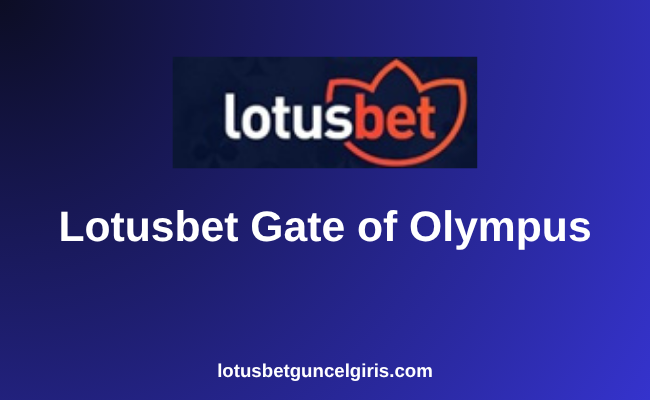Lotusbet Gate of Olympus